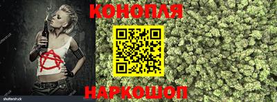 молекула духа Усть-Джегута